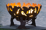 fire pit